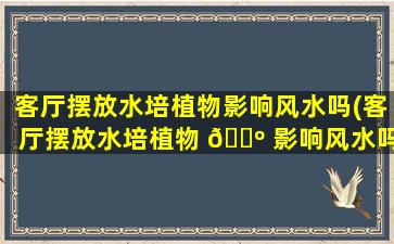 客厅摆放水培植物影响风水吗(客厅摆放水培植物 🐺 影响风水吗为什么)